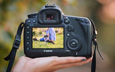 Фокусировка задней кнопкой или Back-Button Focus